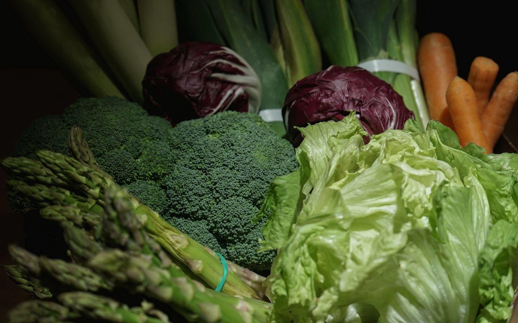 Отель Landa Бургос Экстерьер фото Vegetables